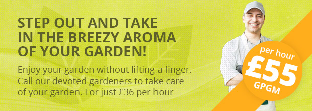Hire Experienced Gardeners on the Cheap
