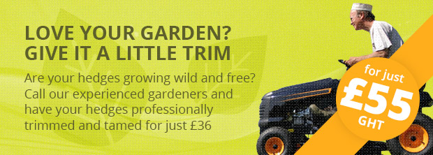 Discounts on Professional Trimming Hedges
