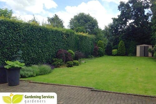 organic lawn care