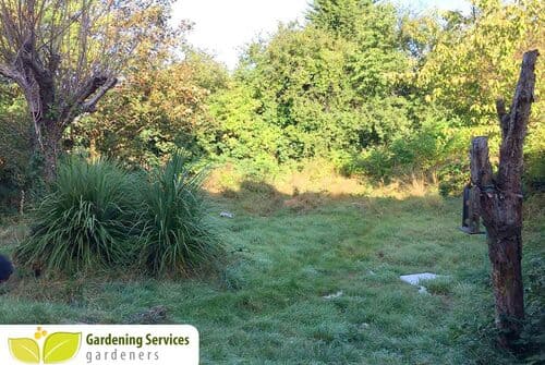 landscape gardeners