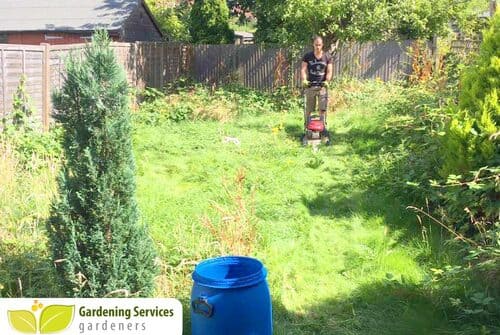 landscape garden design