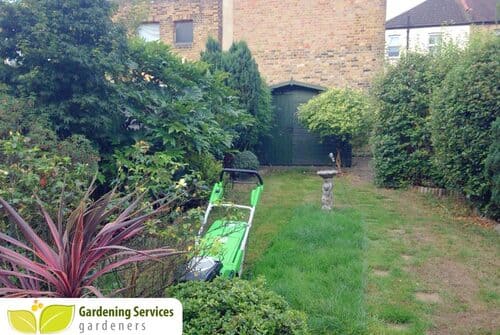grass cutting